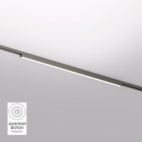 Светильник на шине Denkirs DK5752-DN