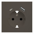 Лицевая панель для розетки 2к+з с USB A+C, RIKETT капучино (35637 CP)