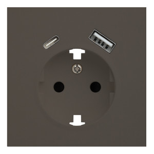 Лицевая панель для розетки 2к+з с USB A+C, RIKETT капучино (35637 CP)
