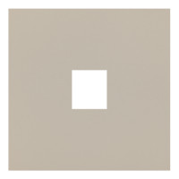 Лицевая панель для одиночной информационной розетки, латте (35441 LT)