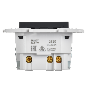 SKANDY Розетка с заземлением с защитными шторками 16А с USB C 18Вт SK-R17T титан IEK