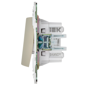 SKANDY Выключатель 2-клавишный перекрестный 10А SK-V06B бежевый IEK