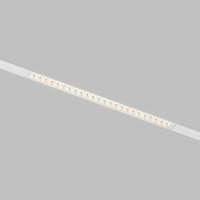 Светильник на шине Denkirs DK8102-WH