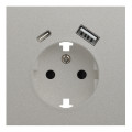 Лицевая панель для розетки 2к+з с USB A+C, RIKETT платина (35637 PL)