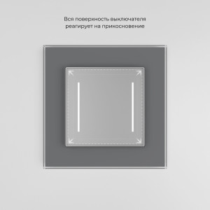 W4522006/ Сенсорный выключатель двухклавишный с подсветкой (серебряный)