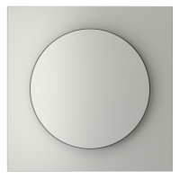 Накладка для светорегулятора поворотно-нажимного, S70 сталь