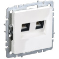 Розетка компьютерная двойн. СП RJ45 кат.5E BRITE РК10-2-БрБ механизм бел. IEK BR-K20-1-K01