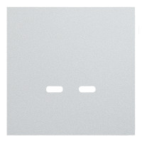 Лицевая панель для розетки USB C/C, серебро (35675 SV)