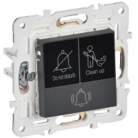SKANDY Кнопка звонка с индикацией для отелей 10А SK-V17T титан IEK