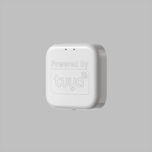 WI-FI конвертер Denkirs DK7400-WF