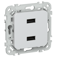 FLITE Розетка USB A+A 3,1А РЮ-2-ФлЖ жемчуг IEK