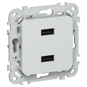 FLITE Розетка USB A+A 3,1А РЮ-2-ФлЖ жемчуг IEK