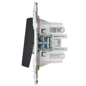 SKANDY Выключатель 2-клавишный перекрестный 10А SK-V06Bl черный IEK