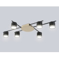Потолочный светильник GX53*6