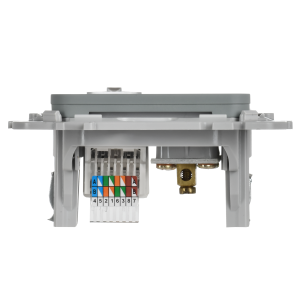 FLITE Розетка 2-местная RJ45/TV категория 5Е UTP РКТВ5е-2-0-ФлС серый IEK