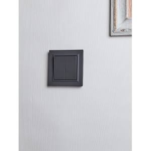 BRITE Выключатель 2-клавишный 10А в сборе ВСР10-2-0-БрГ графит IEK
