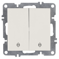 Arvia Electric, L/K Механизм, Выключатель двухклавишный проходной, (белый)