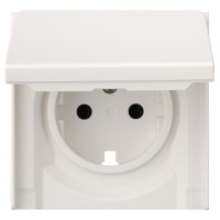 Лицевая панель для розетки 2к+з с крышкой, белый сатин (35634 MW)