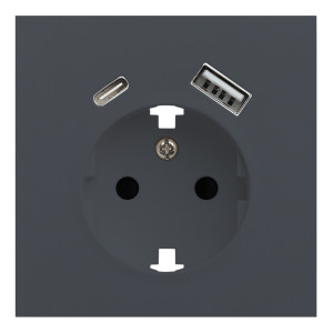 Лицевая панель для розетки 2к+з с USB A+C, RIKETT базальт (35637 BT)