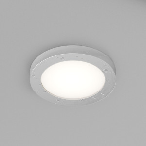 Влагозащищенный светильник Denkirs DK3012-AL