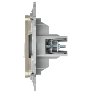 FLITE Розетка 2-местная RJ45/TV категория 5Е UTP РКТВ5е-2-0-ФлШ шампань IEK