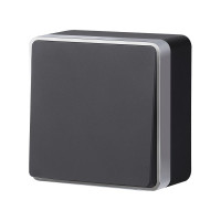 W5010034/ Выключатель одноклавишный Gallant (черный с серебром)