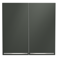 Клавиши для выключателя/переключателя двухклавишного с подсветкой, S70 (титан)