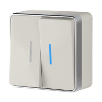 W5020103/ Выключатель двухклавишный с подсветкой Gallant (слоновая кость)