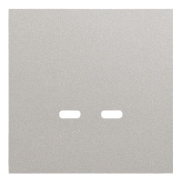 Лицевая панель для розетки USB C/C, платина (35675 PL)