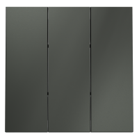 Клавиши для выключателя/переключателя трехклавишного, S70 (титан)