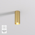 Накладной светильник Denkirs DK2615-SB