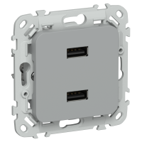 FLITE Розетка USB A+A 3,1А РЮ-2-ФлС серый IEK