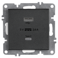 Arvia Electric, L/K Механизм, Розетка USB + Type C, (графит)