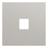 Лицевая панель для одиночной информационной розетки, платина (35441 PL)
