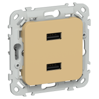 FLITE Розетка USB A+A 3,1А РЮ-2-ФлШм шамуа IEK