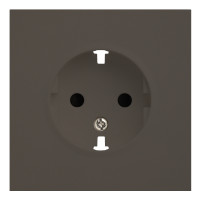 Лицевая панель для розетки 2к+з, капучино (35632 CP)