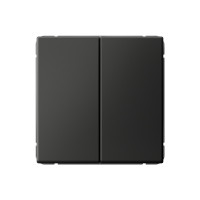 ARTGALLERY 2-клавишный ВЫКЛЮЧАТЕЛЬ КНОПОЧНЫЙ, сх.2, 10А, механизм, БАЗАЛЬТ GAL001417