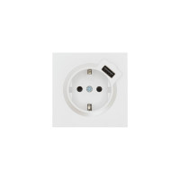 ZIMA Розетка сз  USB разъем белая искра матовая 10шт120шт