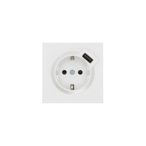 ZIMA Розетка сз  USB разъем белая искра матовая 10шт120шт