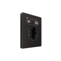 Systeme Infinity, Розетка СУ с ЗК и зар.устр.USB АС 20Вт 250В, 16А, защит.шторки, Полярная ночь