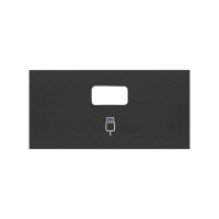 Simon 100 Черный матовый Накладка розетки USB