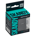 SKANDY Розетка USB A+C 18Вт SK-R13G мятный IEK