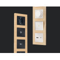 AF550302 Рамка ALFA Platos Шампань Металл шлифованный 2-ая AMBRELLA VOLT