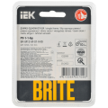 BRITE Рамка 1-местная РУ-1-1-Бр металл латунь RE IEK