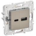 SKANDY Розетка USB A+C 18Вт SK-R13N металл никель IEK