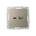 BRITE Розетка USB A+C 18Вт РЮ11-1-БрШ шампань IEK