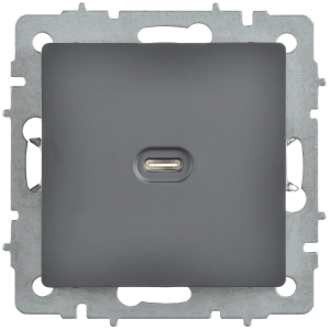 BRITE Розетка USB C 65Вт высокоскоростная зарядка РЮ12-1-БрГ графит IEK
