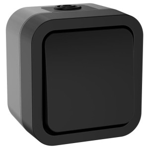 Выключатель 1-кл. 2п ОП TORS TS111 10А IP55 графит IEK TS-V16-0-10-55-K53