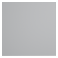 Клавиша для выключателяпереключателя одноклавишного, S70 серый