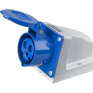 216 RS4  Розетка для монтажа на пов-ть 2Р+E 16A 110V~ IP44 (D19 609 01) 2CMA193097R1000